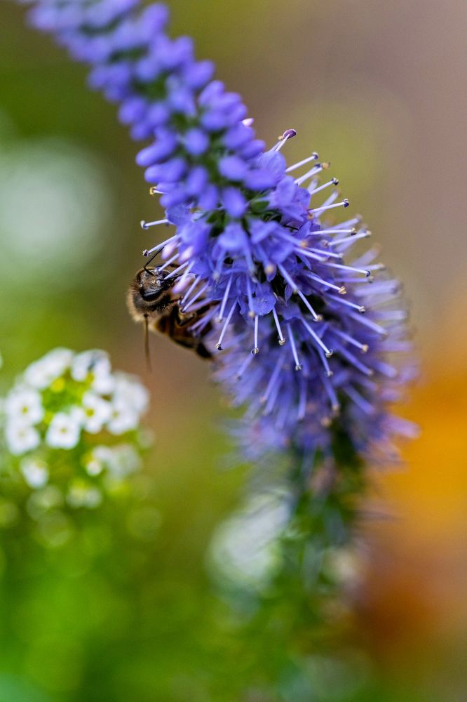Photograph by Александр Стрельченко