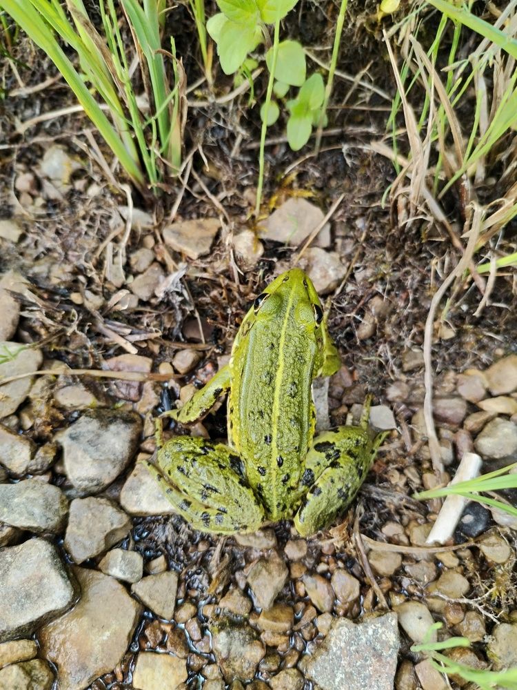 Photograph by Юлия Ю.