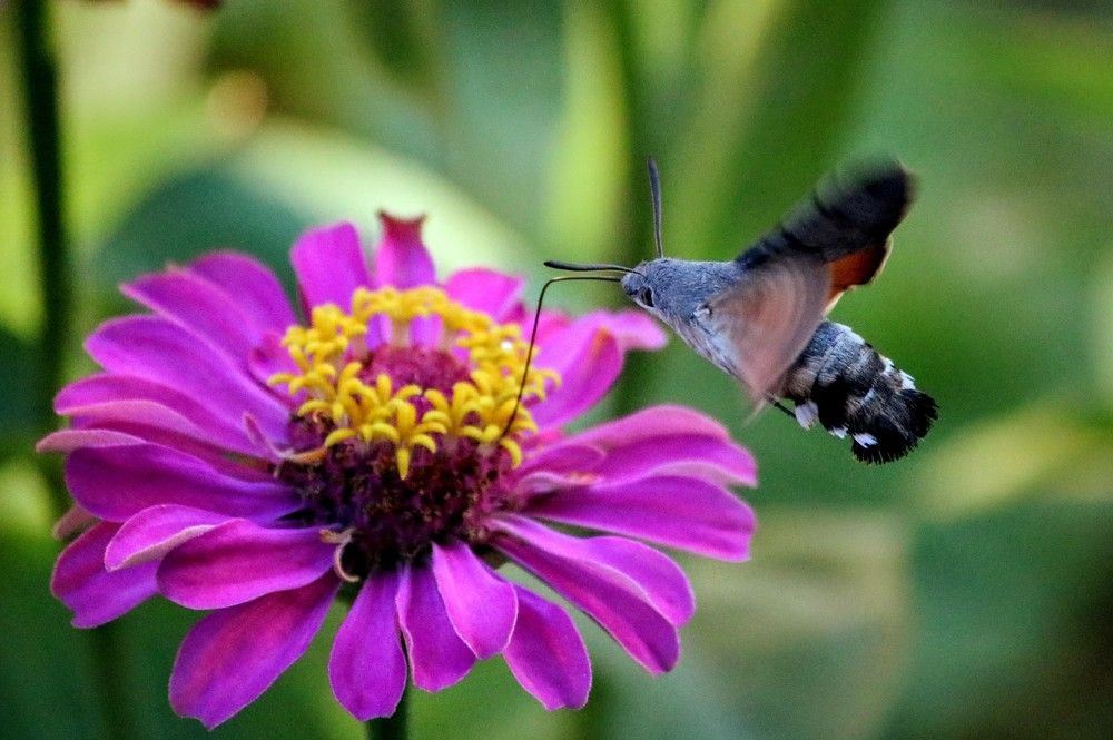 Photograph by volkan akan