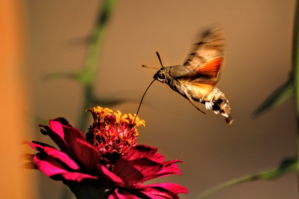 Photograph by volkan akan