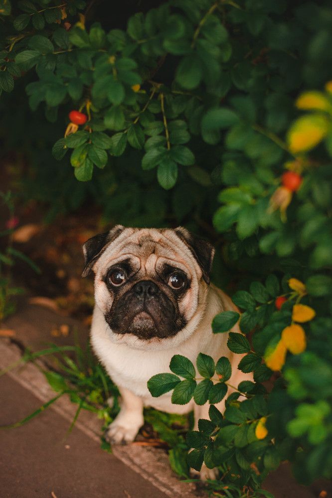 Photograph by Татьяна Степанова