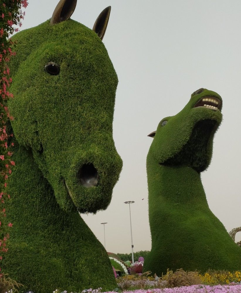 Фотография автора Елена Александрова