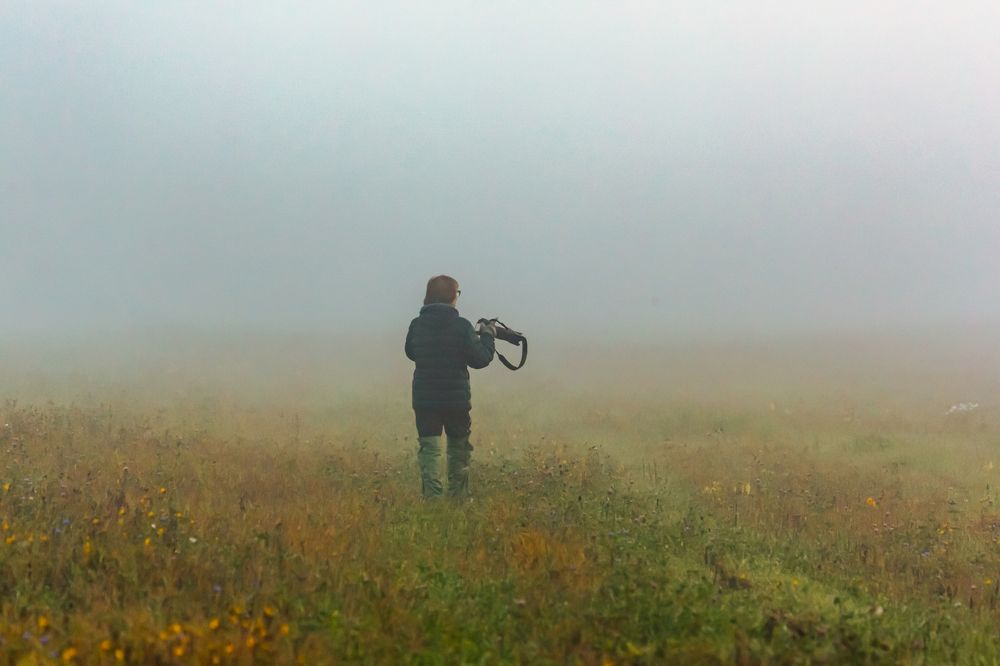 Photograph by Александр Литвинов