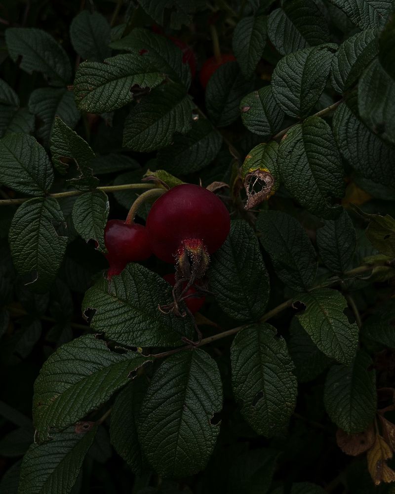 Photograph by Татьяна Ремизова