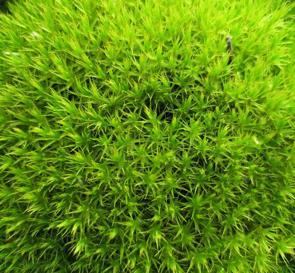 Фотография автора Елена Александрова