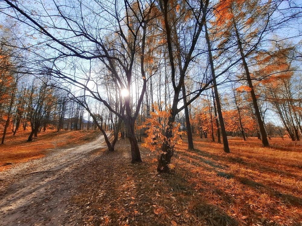 Photograph by Сергей Клапишевский