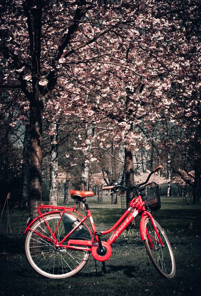 Photograph by Agita Leimane