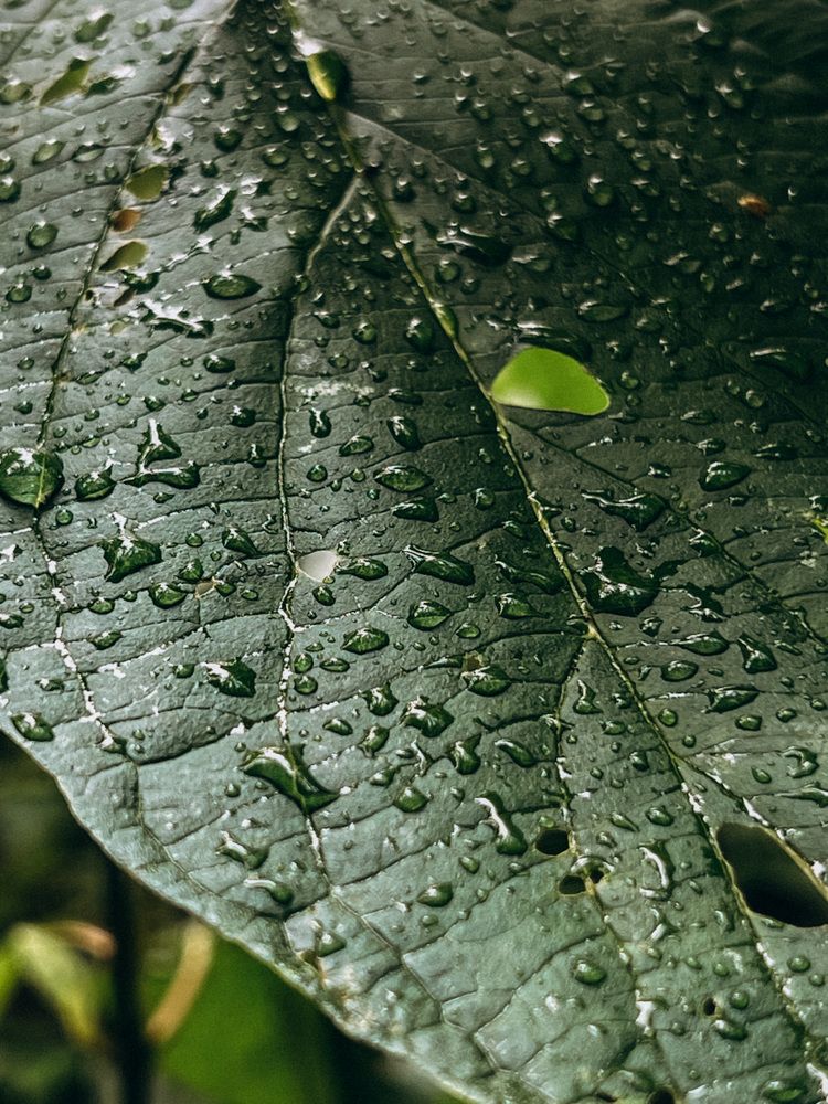 Photograph by Мария Бурик