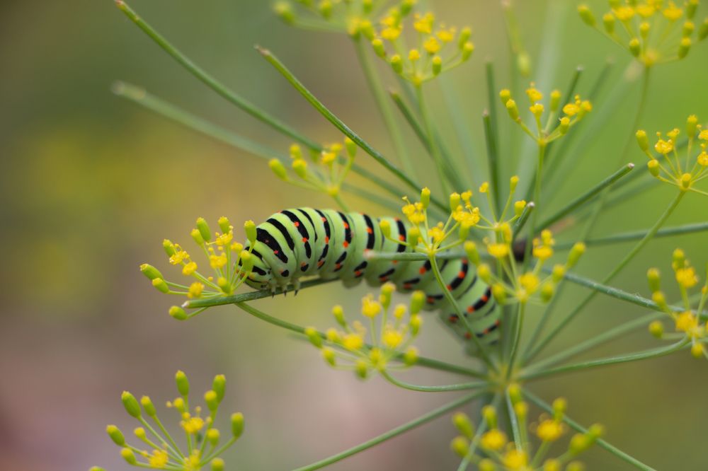 Photograph by Анастасия Северюхина