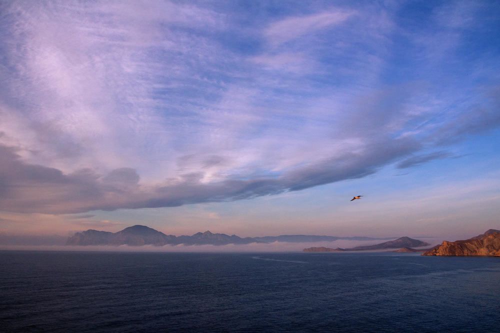 Photograph by Дмитрий Ломанов