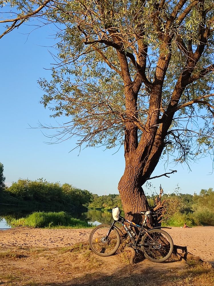 Photograph by Galina Novichkova