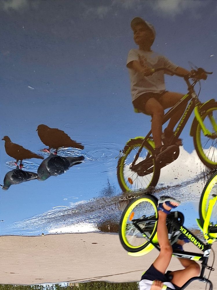 Photograph by Galina Novichkova