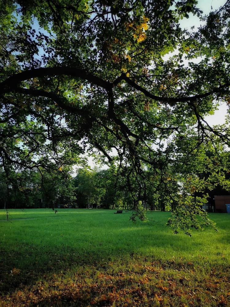 Photograph by Елена Артёменко