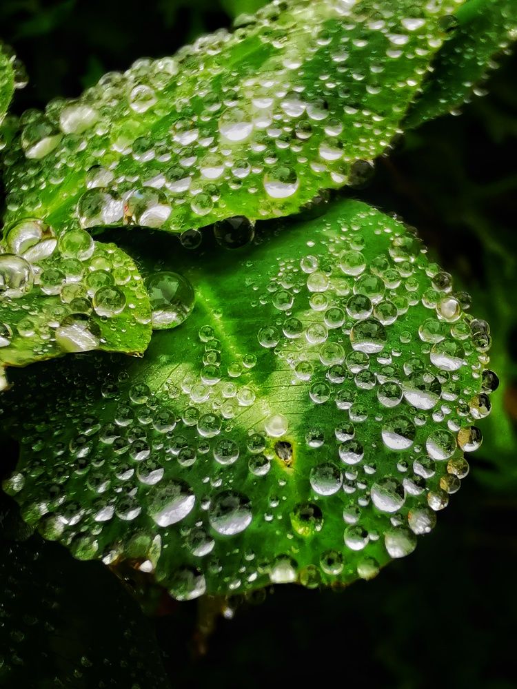 Photograph by Елена Артёменко