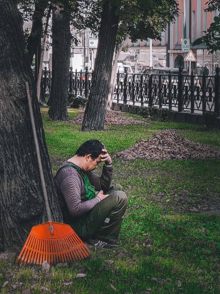 Фотография автора Светлана Алексеева