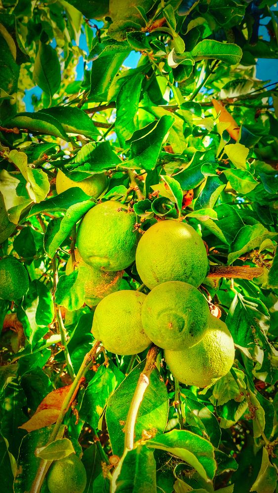 Photograph by Marharita