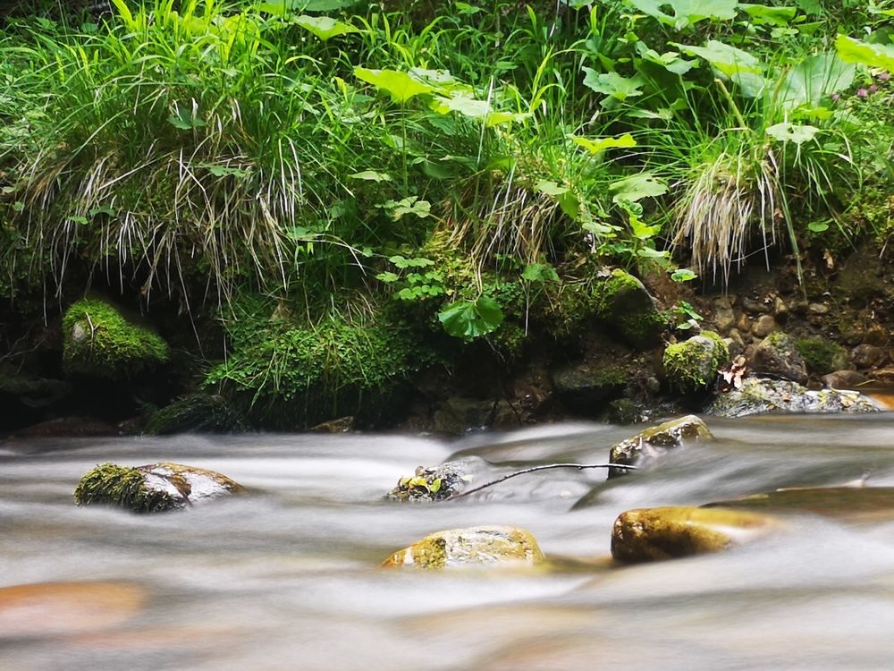 Photograph by Alen Brkić