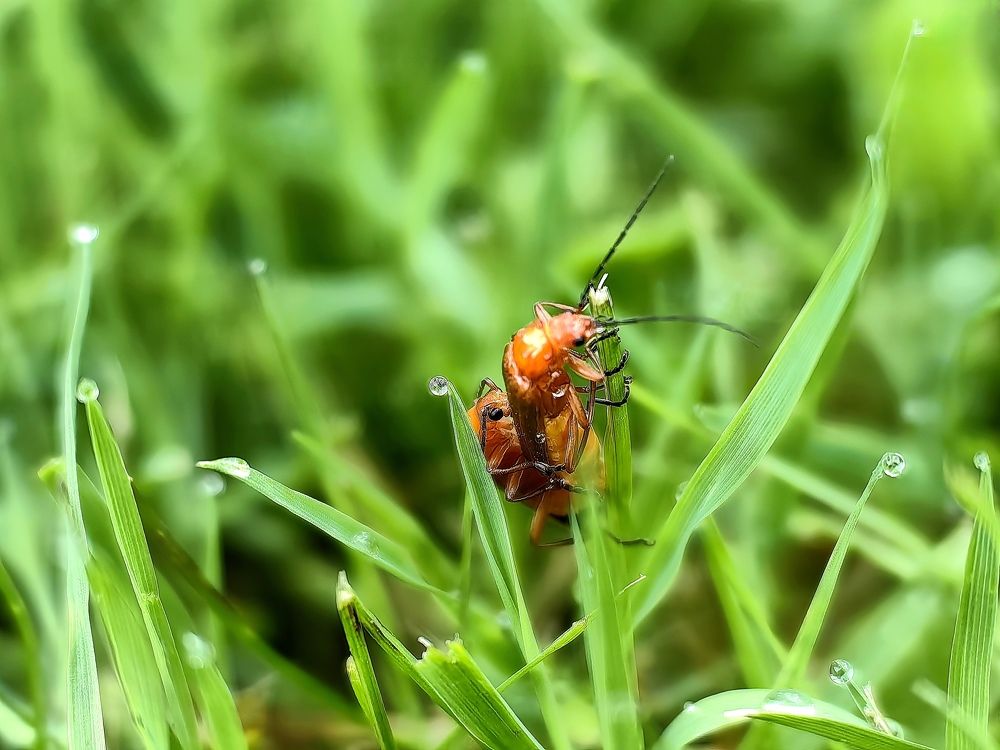 Photograph by Alen Brkić