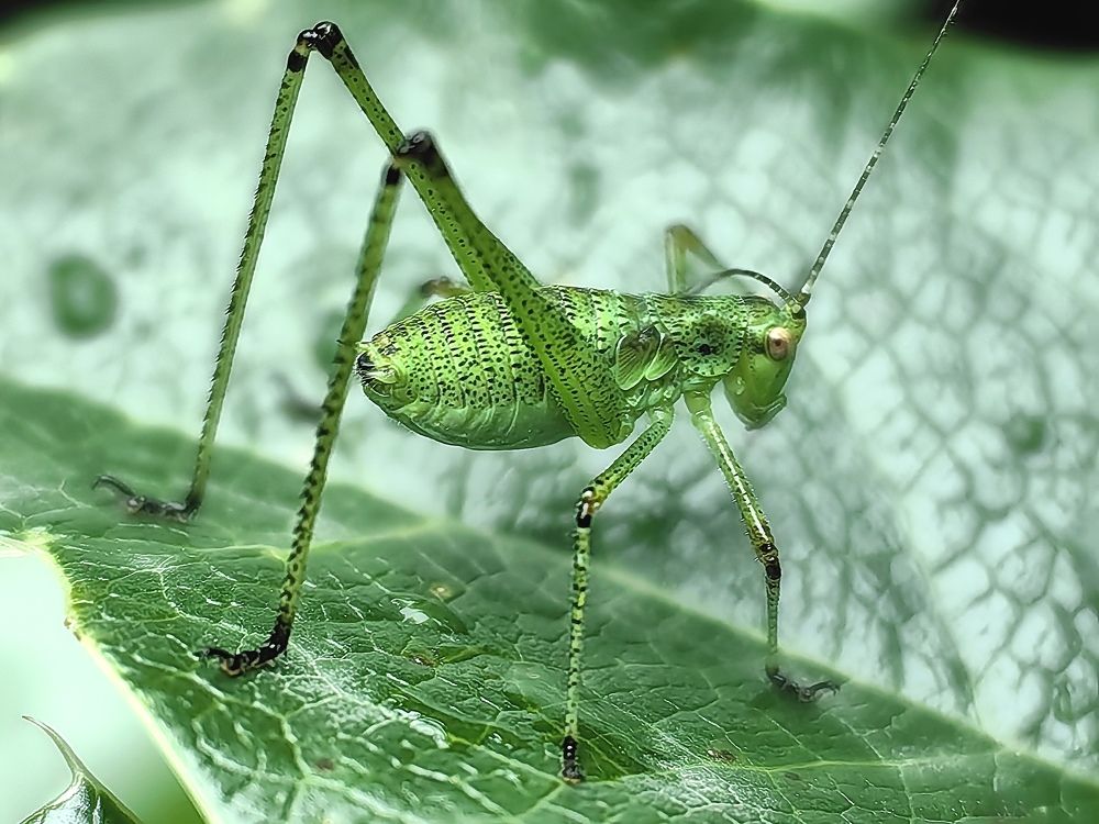 Photograph by Alen Brkić