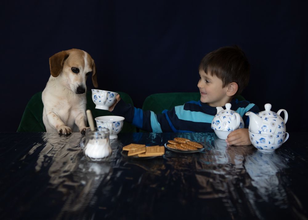 Фотография автора Ginny Marmer