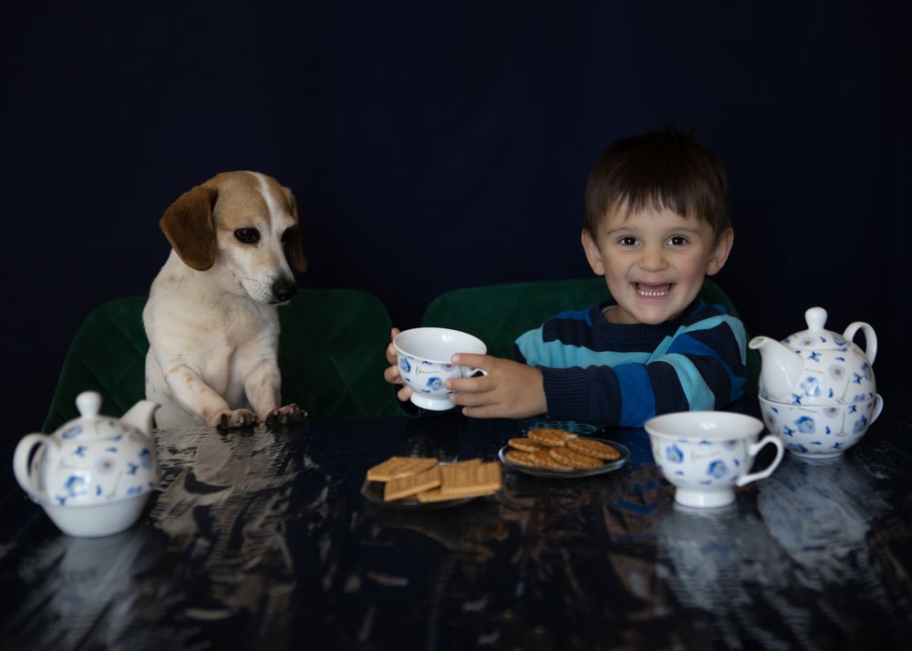 Фотография автора Ginny Marmer