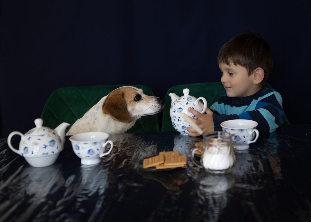 Фотография автора Ginny Marmer