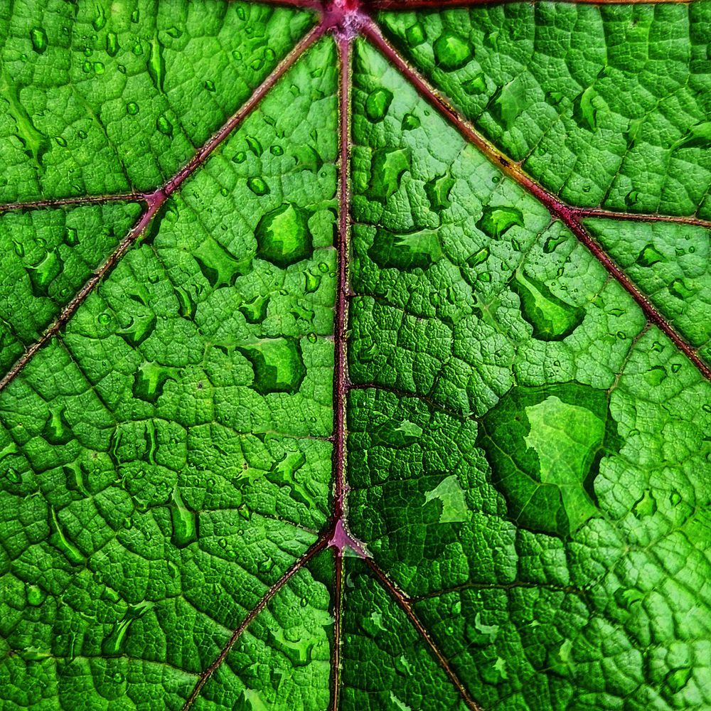 Фотография автора Татьяна Сякина