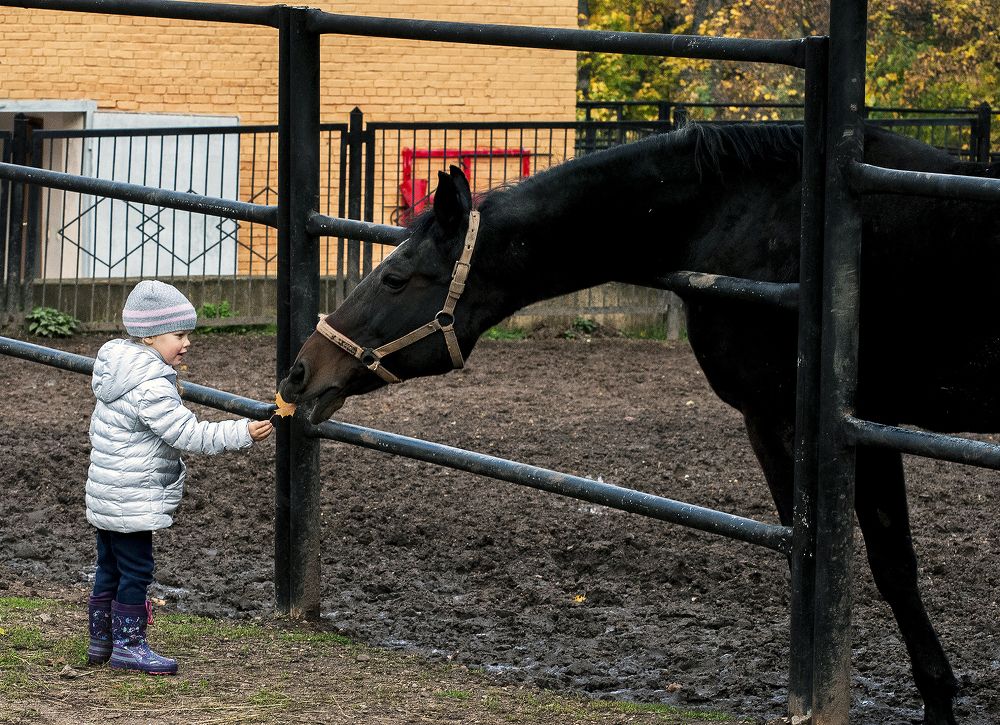Photograph by Алексей Патлах