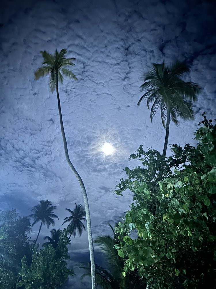 Photograph by Меруерт