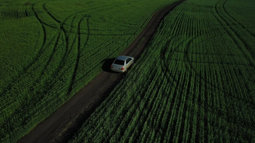 Фотография автора Максим Гафнер