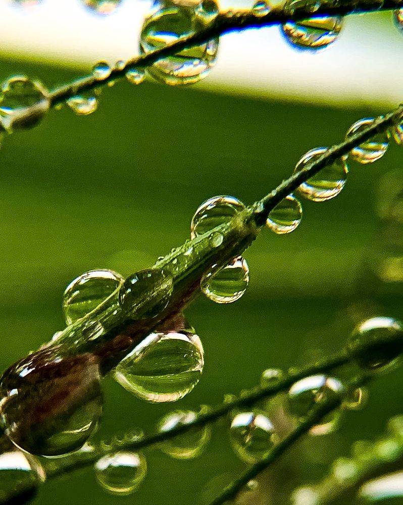 Photograph by Надежда Смирнова