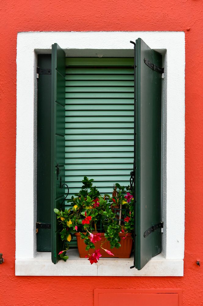 Photograph by Tabit Rodica