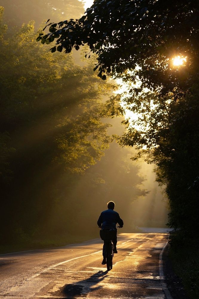 Photograph by Виктория Сивакова