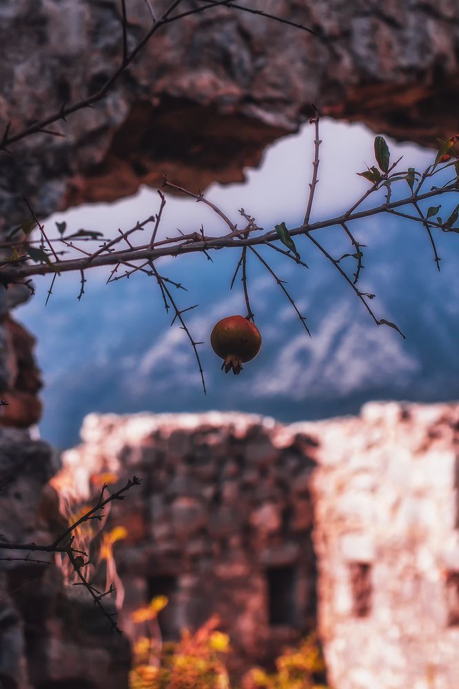 Photograph by Lana Soldatova