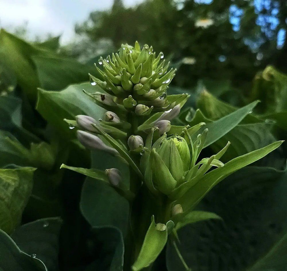 Фотография автора Татьяна Сякина