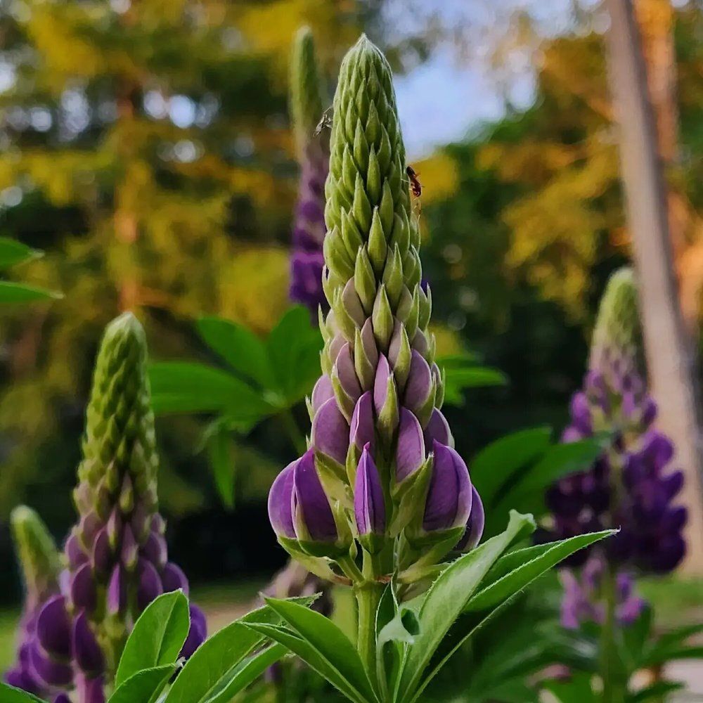 Фотография автора Татьяна Сякина