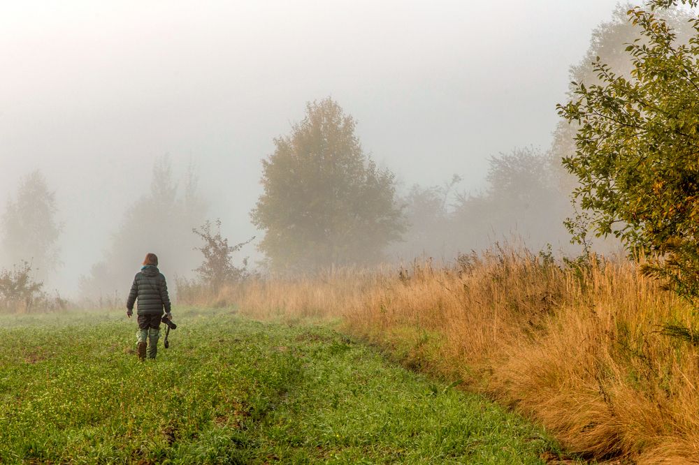 Photograph by Александр Литвинов