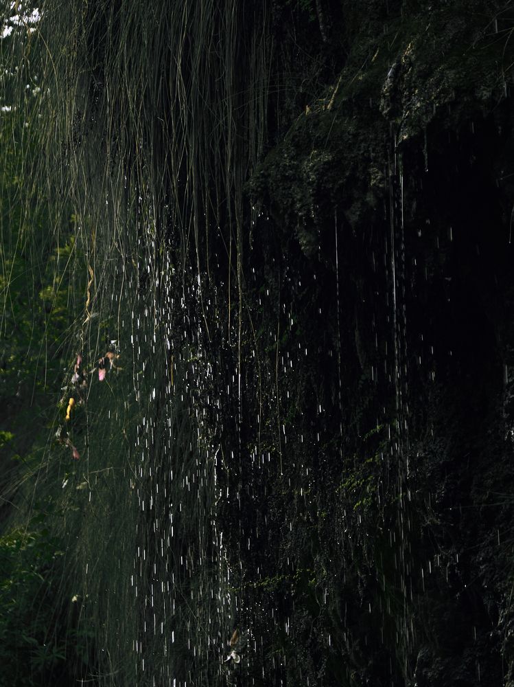 Слезы дождя