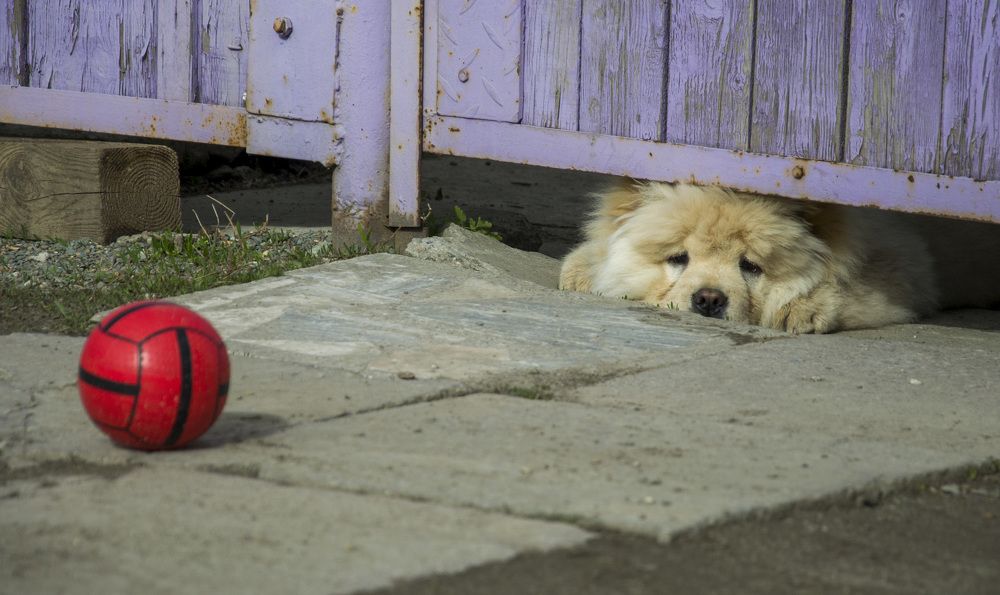 Photograph by Татьяна Титова