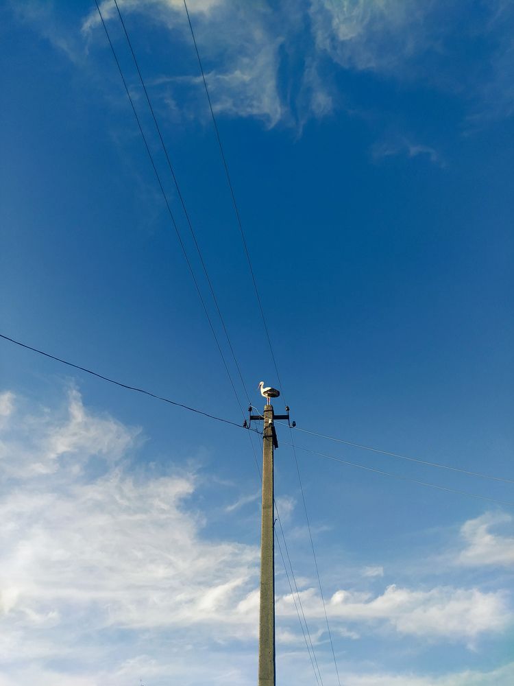 Photograph by Оксана Артимович