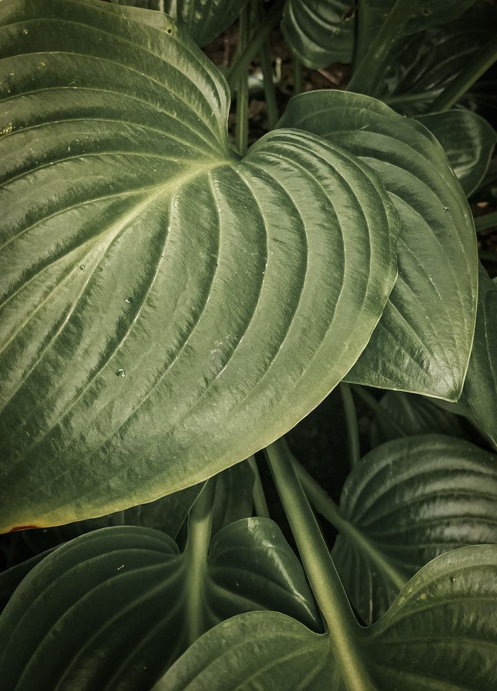 Photograph by Евгения Журавлева