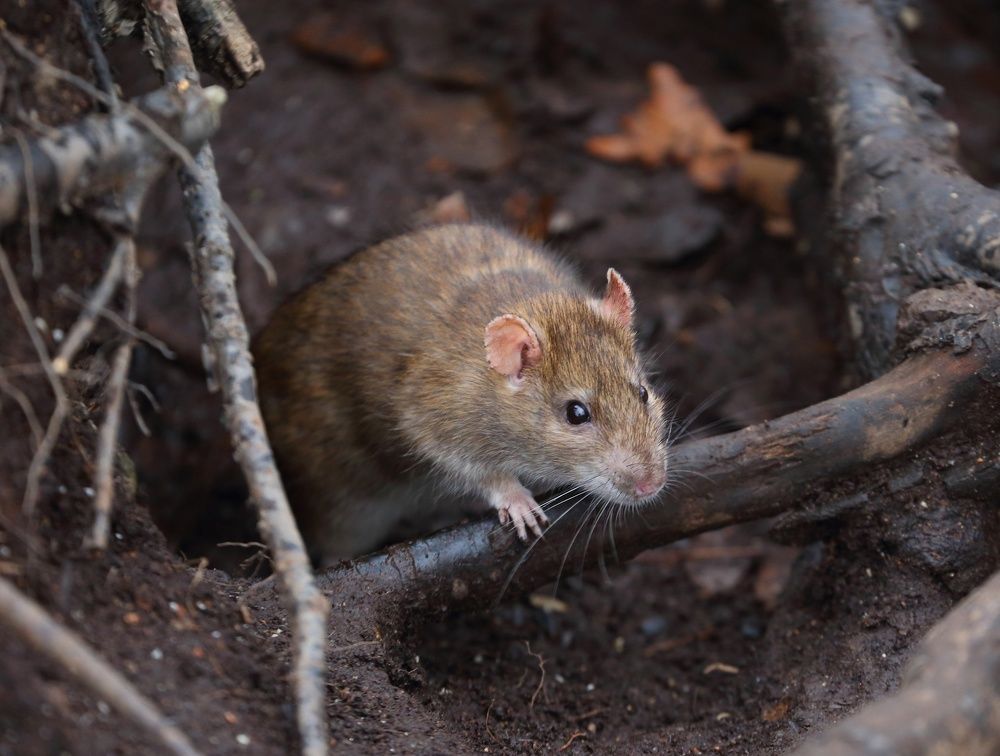 Photograph by Станислав Вершинин