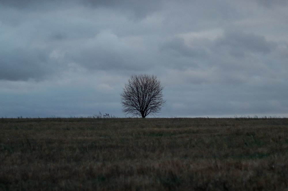 Photograph by Марина Слепова