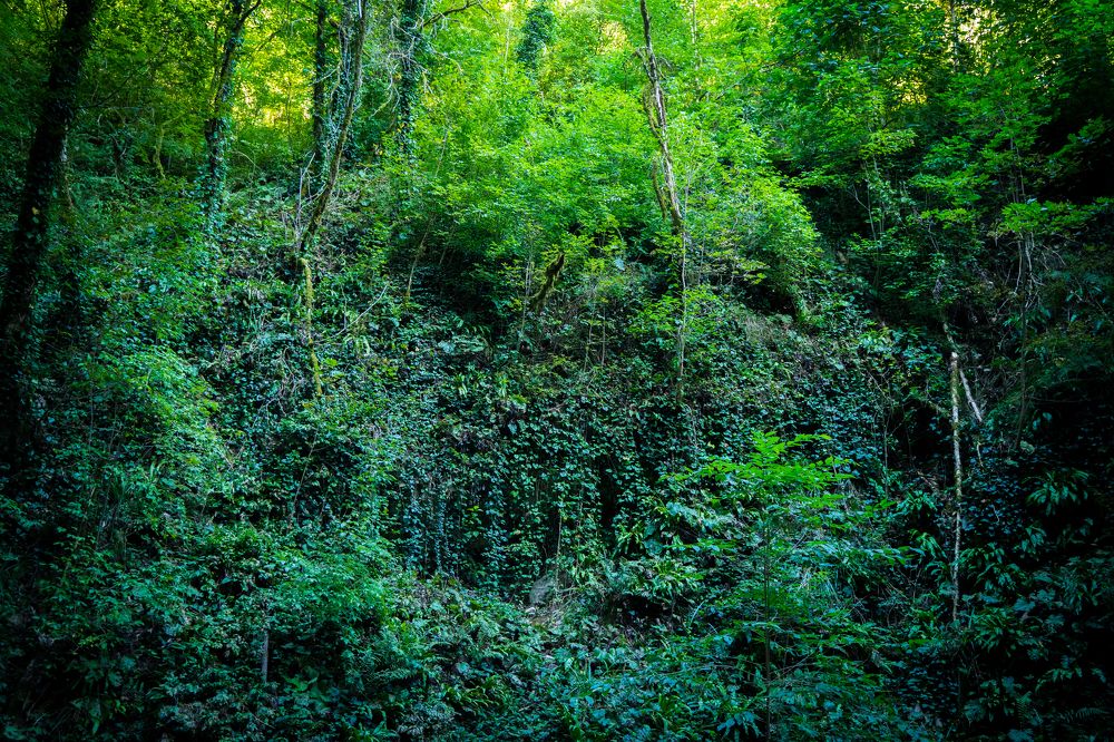 Фотография автора Василиса Новикова