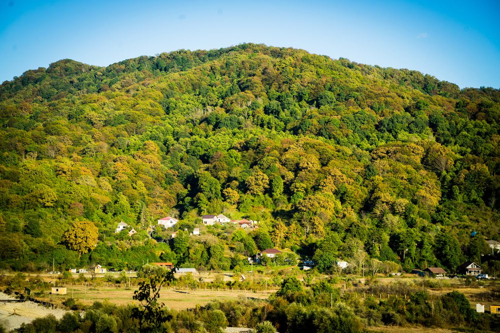 Фотография автора Василиса Новикова