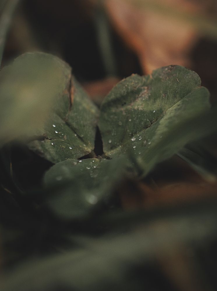 Photograph by Мария Клещенко