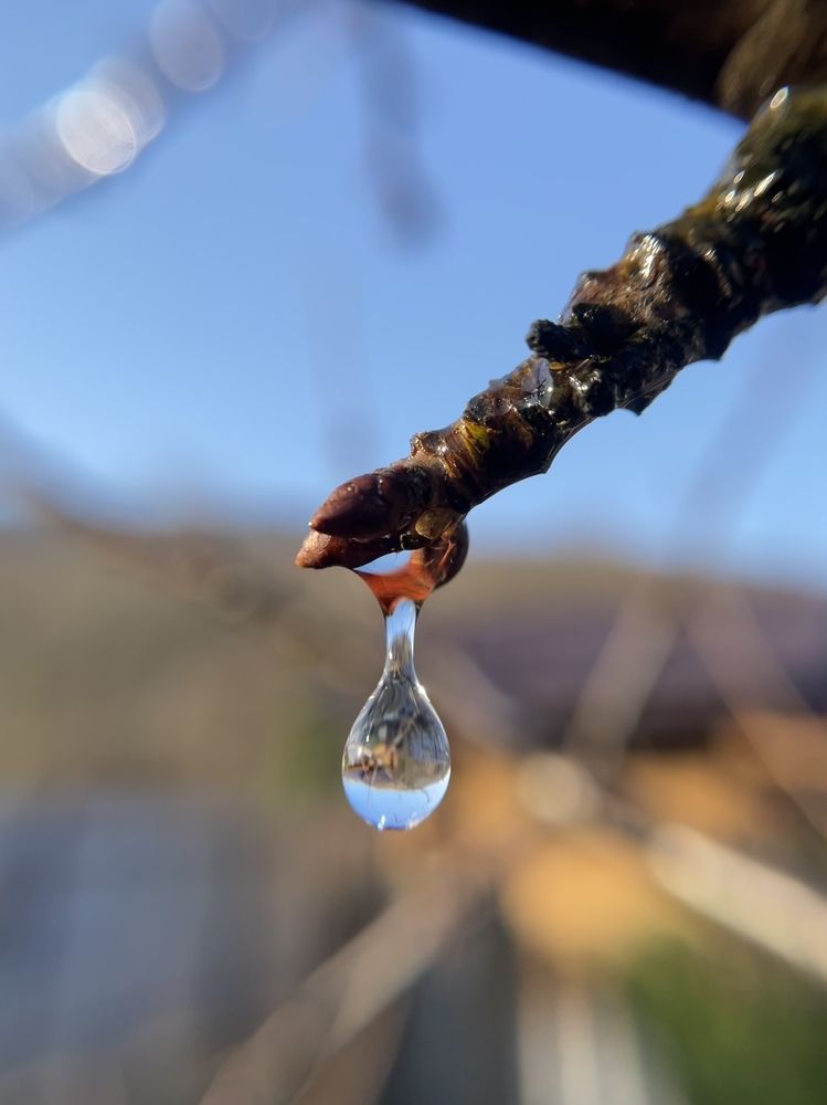 Photograph by Татьяна Токарева