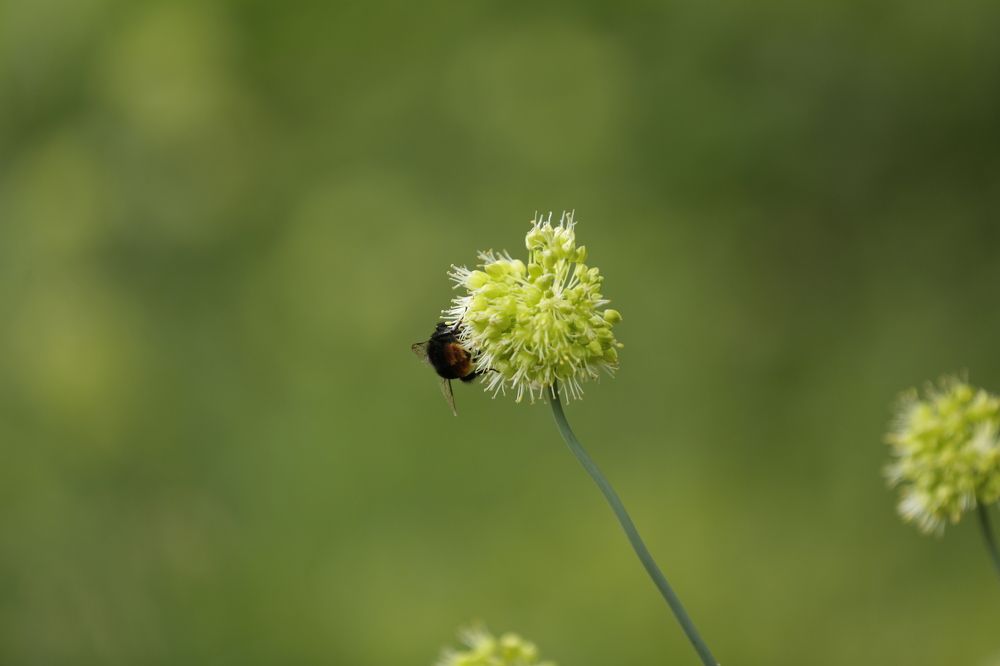 Photograph by Oksana Shchegolkova