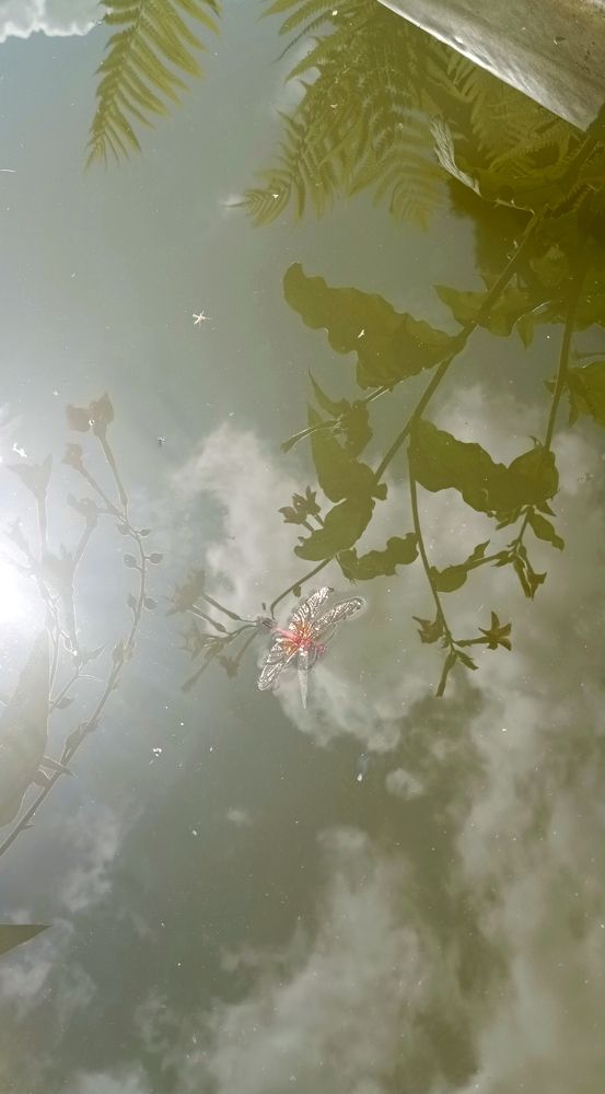 Photograph by Анастасия Кичигина