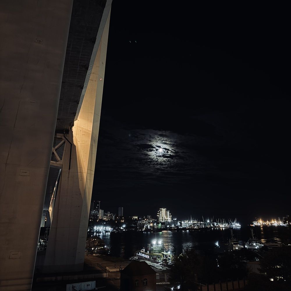 Фотография автора Дмитриева Жанна